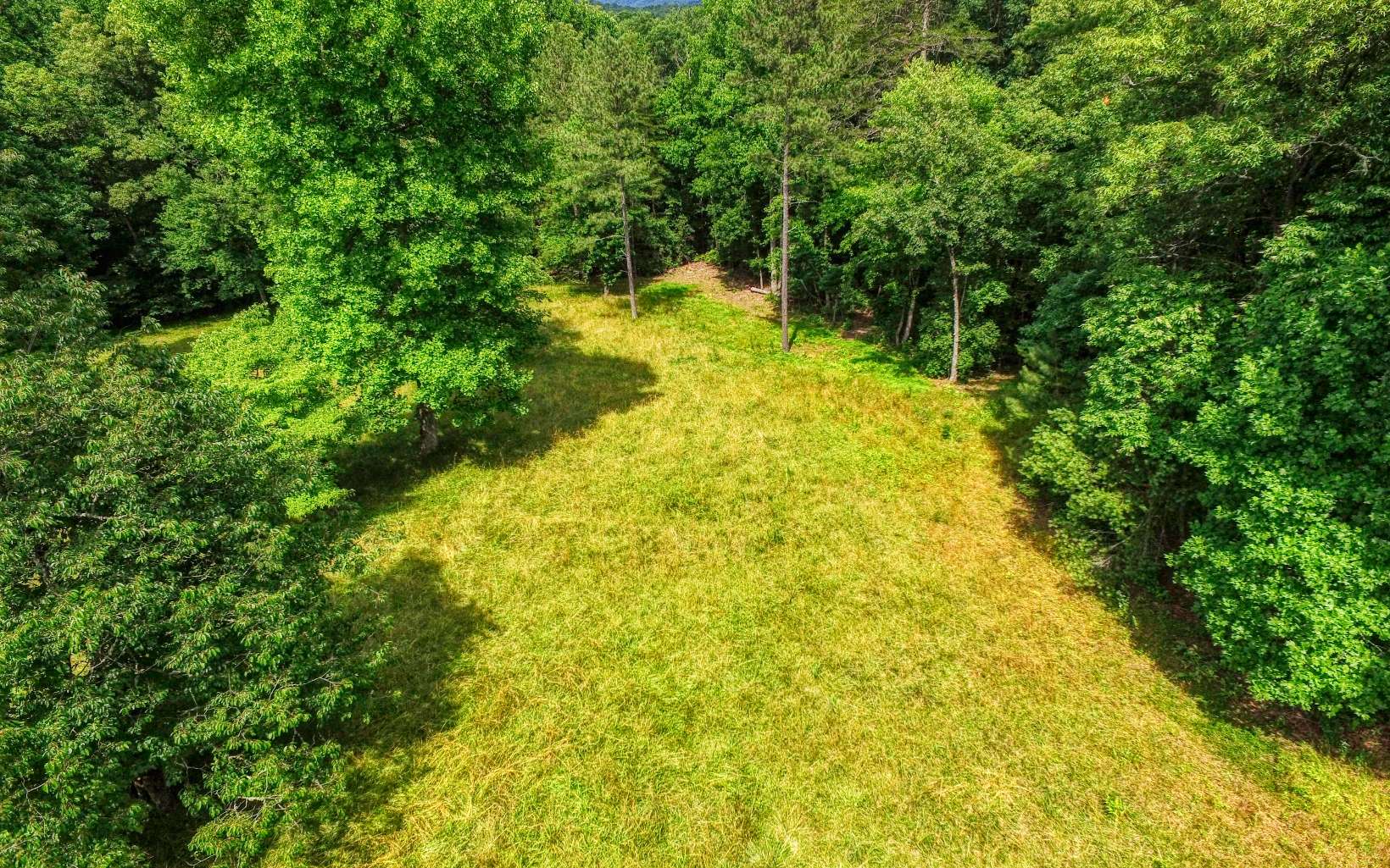 24.89 Camp Creek Road Ellijay, GA 30536 - Photo 26 of 37 Additional View