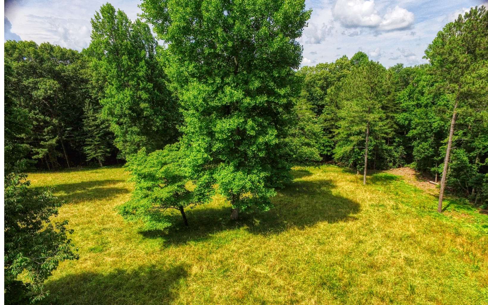 24.89 Camp Creek Road Ellijay, GA 30536 - Photo 27 of 37 Additional View