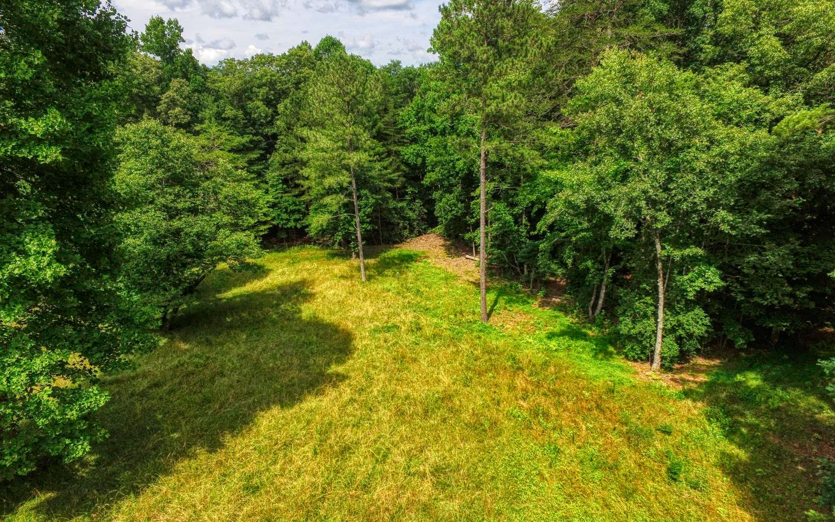 24.89 Camp Creek Road Ellijay, GA 30536 - Photo 28 of 37 Additional View