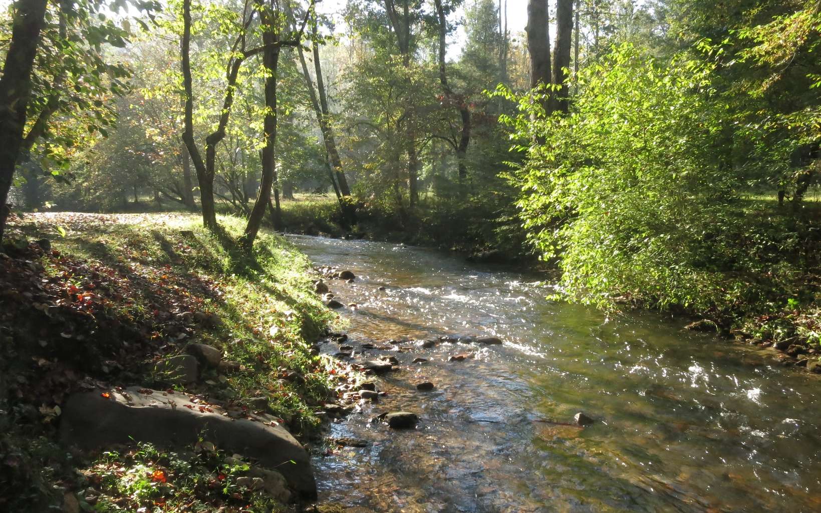 24.89 Camp Creek Road Ellijay, GA 30536 - Photo 29 of 37 Additional View
