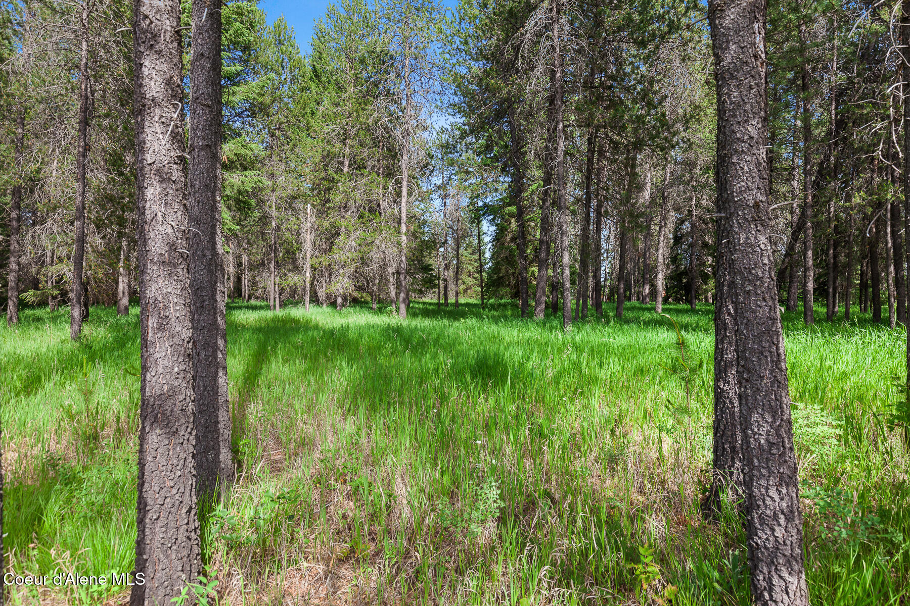 Nka West Camrose Lane Rathdrum, ID 83858 - Photo 11 of 12 D3