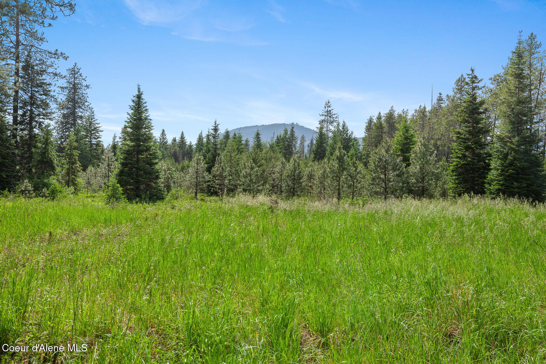 Nka West Camrose Lane Rathdrum, ID 83858 - Photo 4 of 12 D2