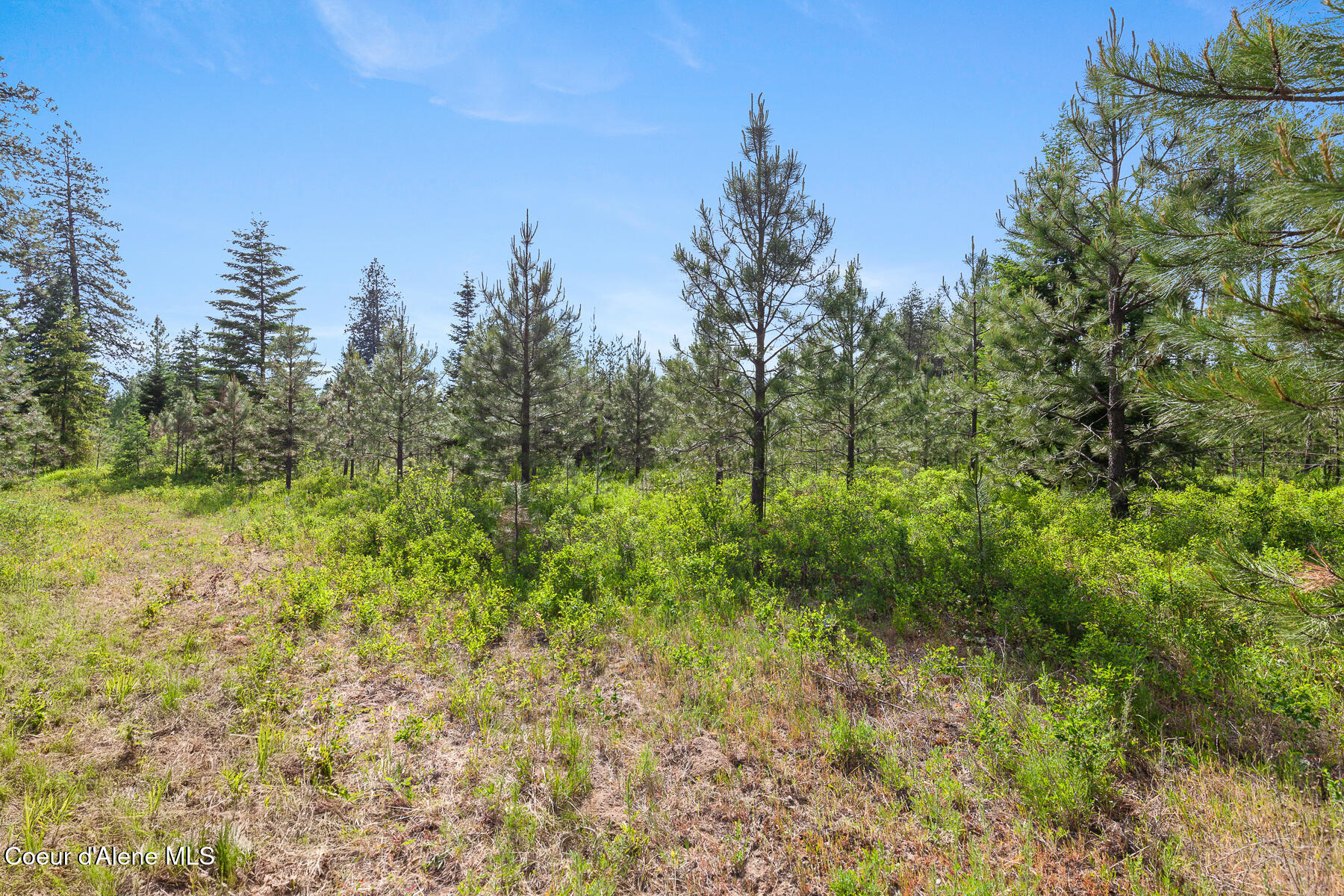 Nka West Camrose Lane Rathdrum, ID 83858 - Photo 5 of 12 D4