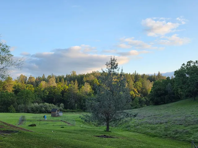 $771,500 | 6545 Kelsey Road, Placerville, CA 95667