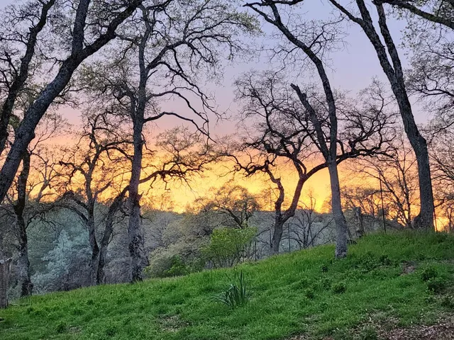 $777,888 | 6545 Kelsey Road, Placerville, CA 95667