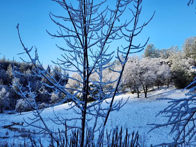 $771,500 | 6545 Kelsey Road, Placerville, CA 95667