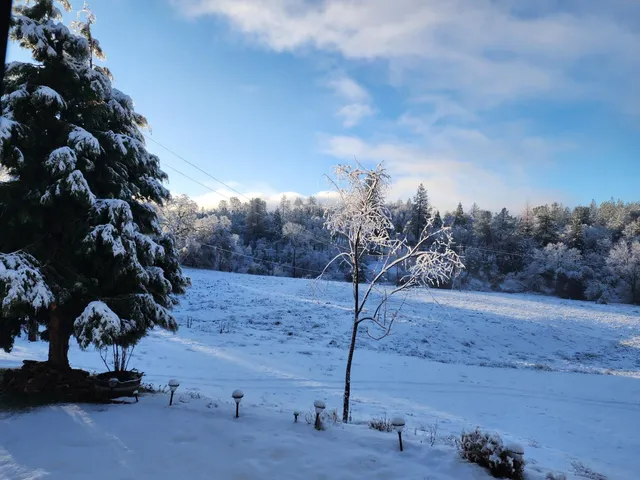 $771,500 | 6545 Kelsey Road, Placerville, CA 95667