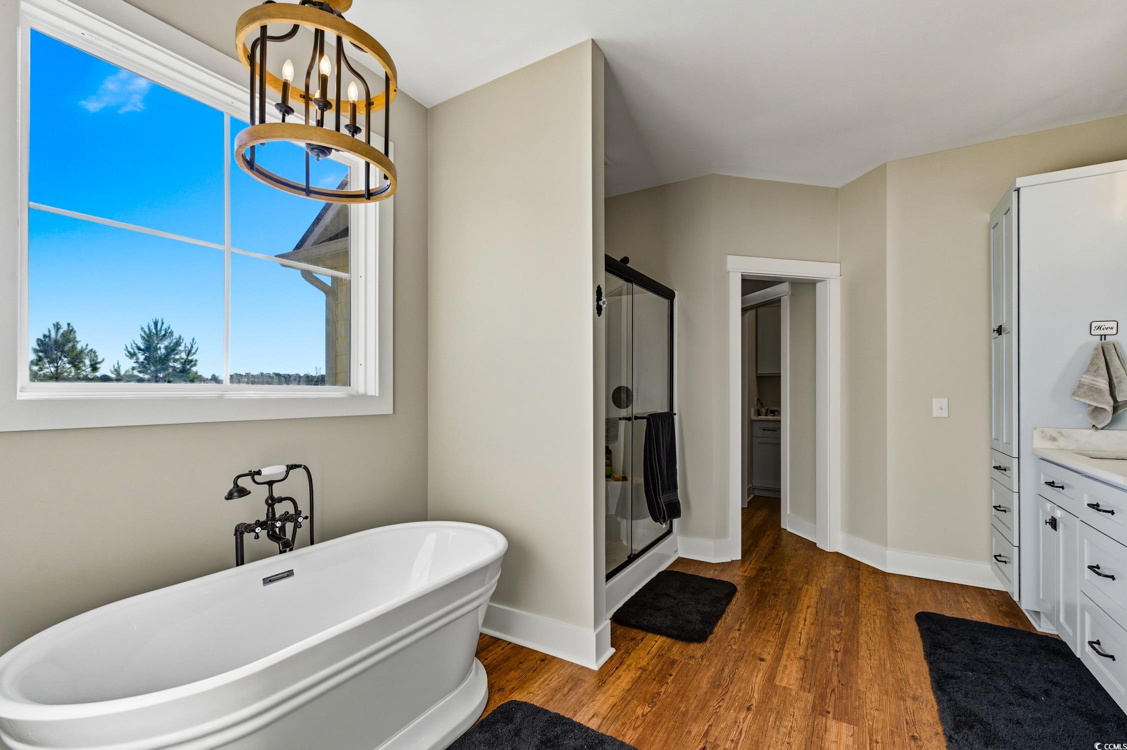 851 Dog Bluff Road Galivants Ferry, SC 29544 - Photo 12 of 25 Bathroom featuring a freestanding tub, a stall shower, dark wood finished floors, vanity, and a chandelier