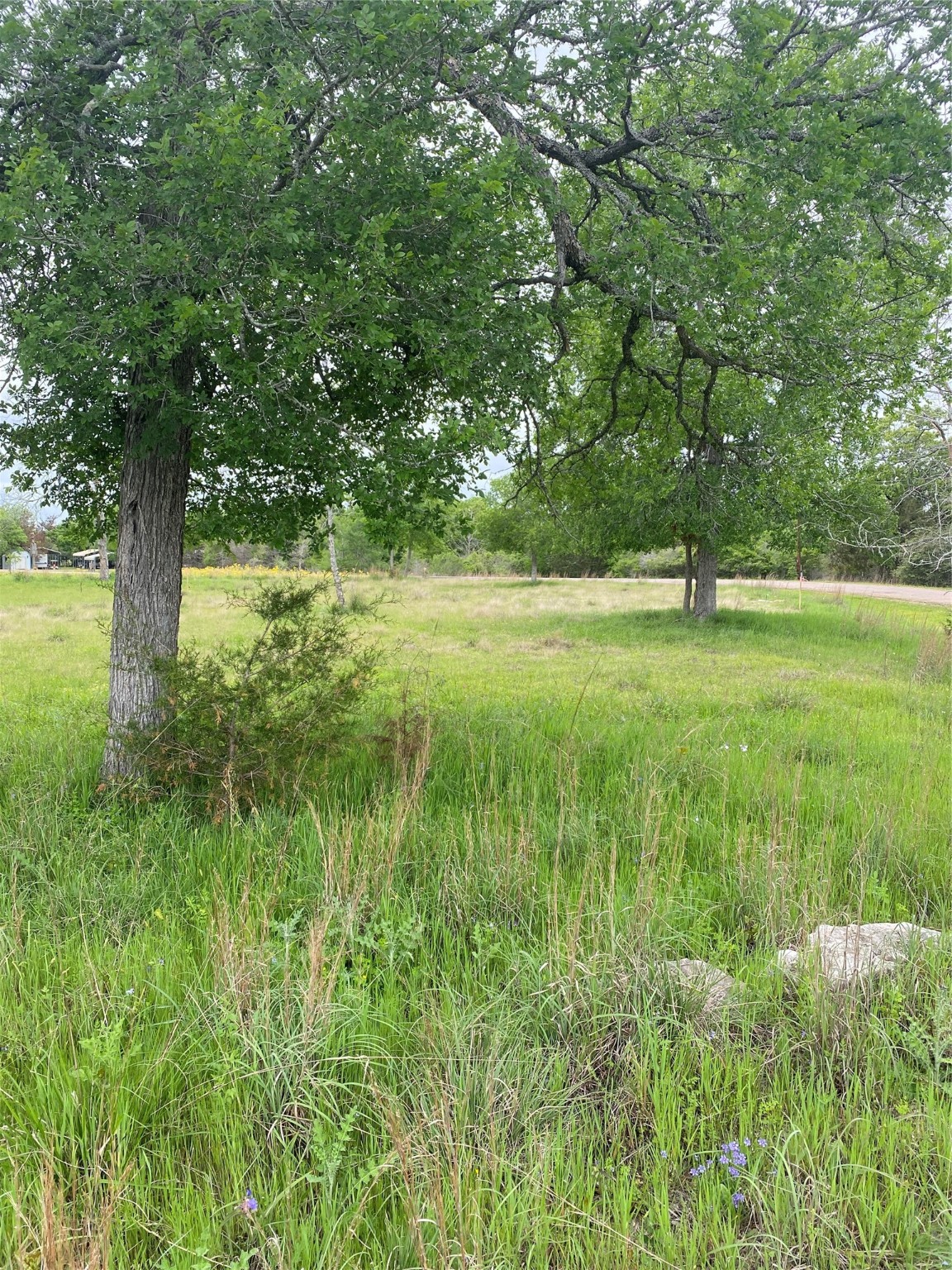 0 Ripple Creek Lane Somerville, TX 77879 - Photo 2 of 6 Mature trees to provide ample shade