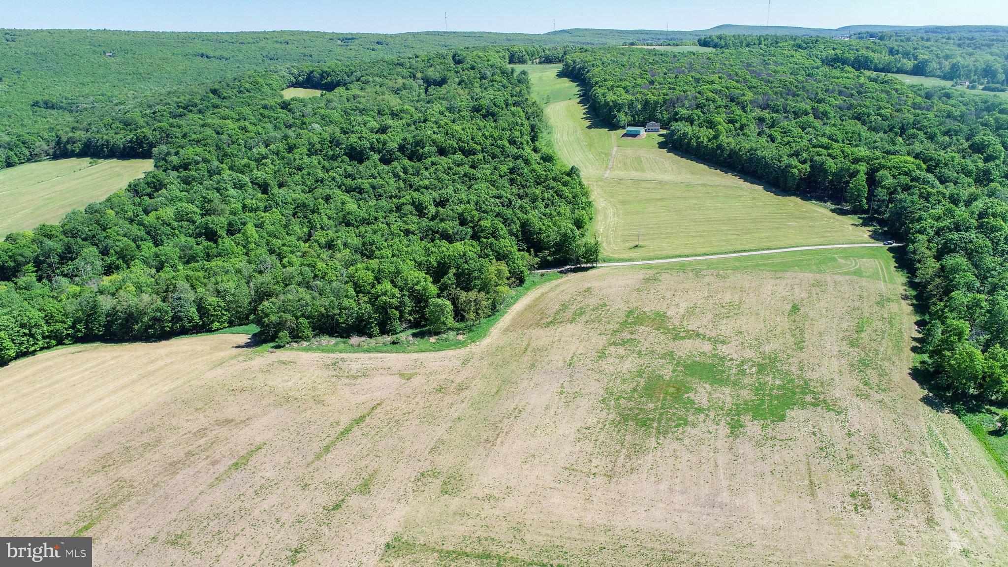 5-acres Chestnut Ridge Road Grantsville, MD 21536 - Photo 16 of 16