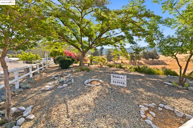 a view of a street with a tree