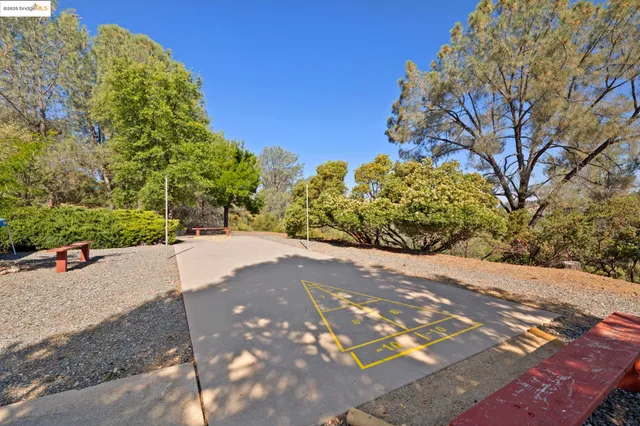 a view of a street with a tree in the background