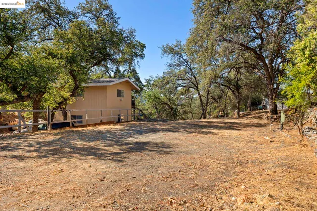 a view of empty space with trees
