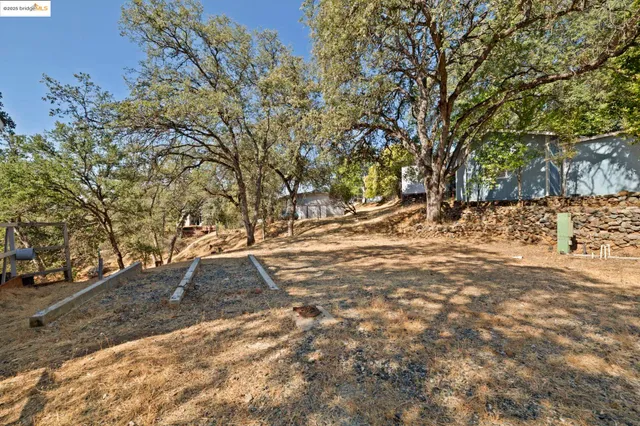 a view of yard with tree
