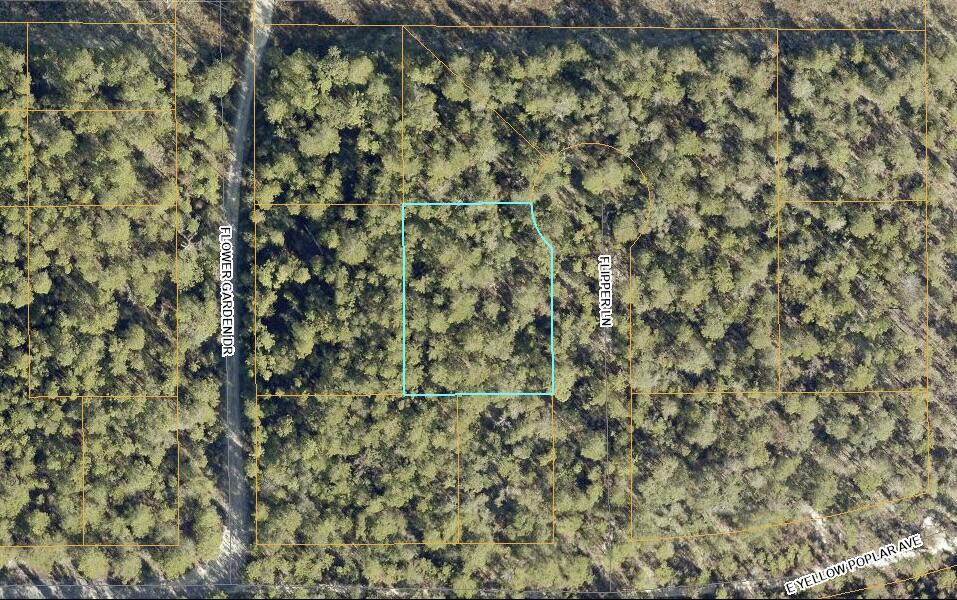 13-15 Flipper Lane DeFuniak Springs, FL 32433 - Photo 12 of 14 a close up of a plant