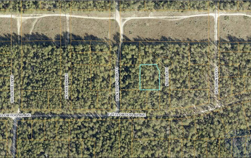 13-15 Flipper Lane DeFuniak Springs, FL 32433 - Photo 13 of 14