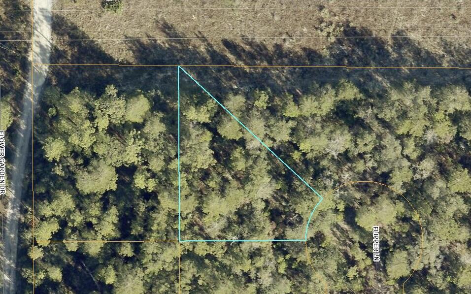 13-15 Flipper Lane DeFuniak Springs, FL 32433 - Photo 9 of 14 a view of a yard