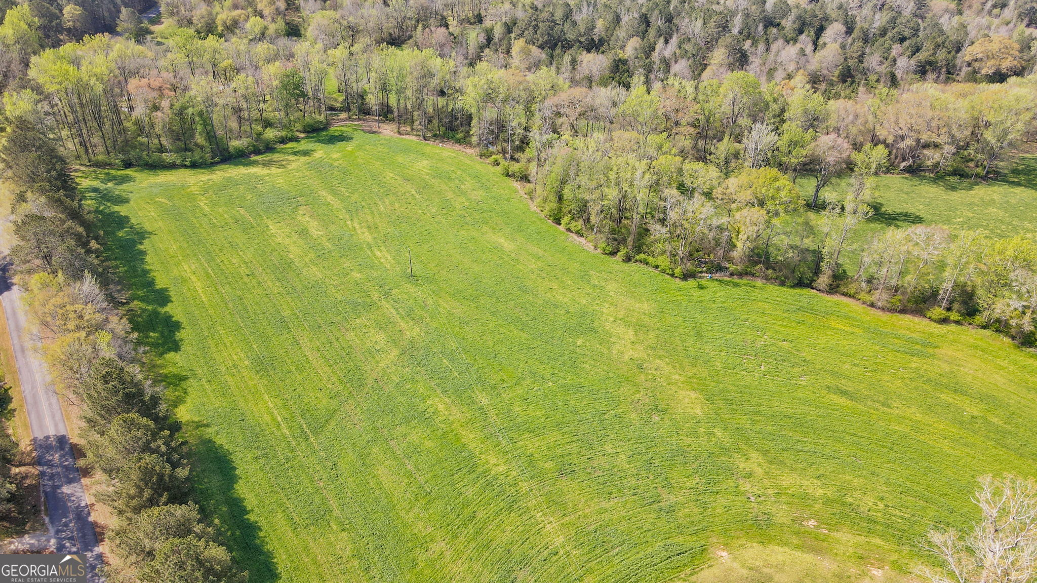 1291 Apalachee River Road Madison, GA 30650 - Photo 11 of 84 a view of yard with green space