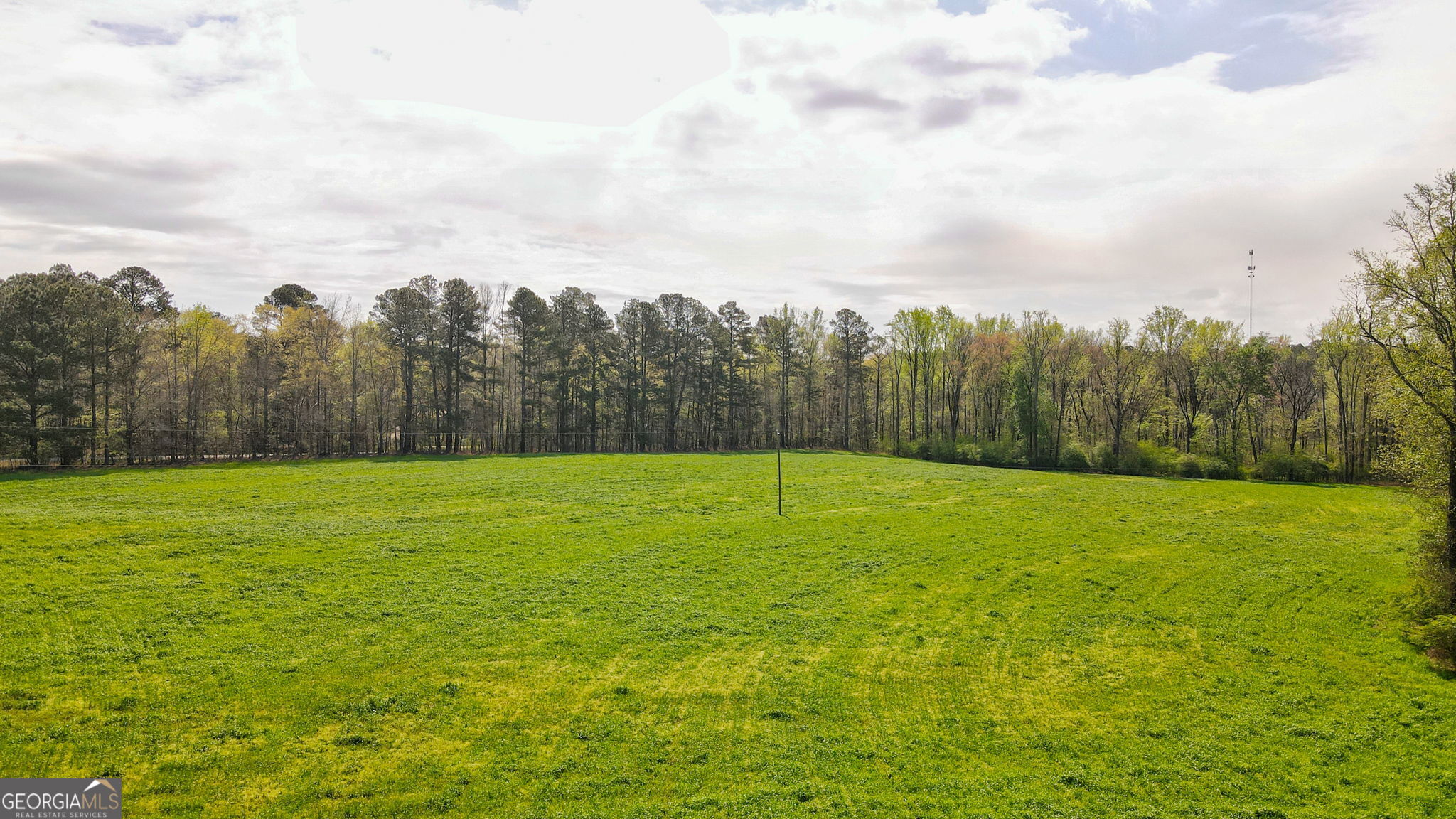 1291 Apalachee River Road Madison, GA 30650 - Photo 16 of 84 a view of a yard and mountain
