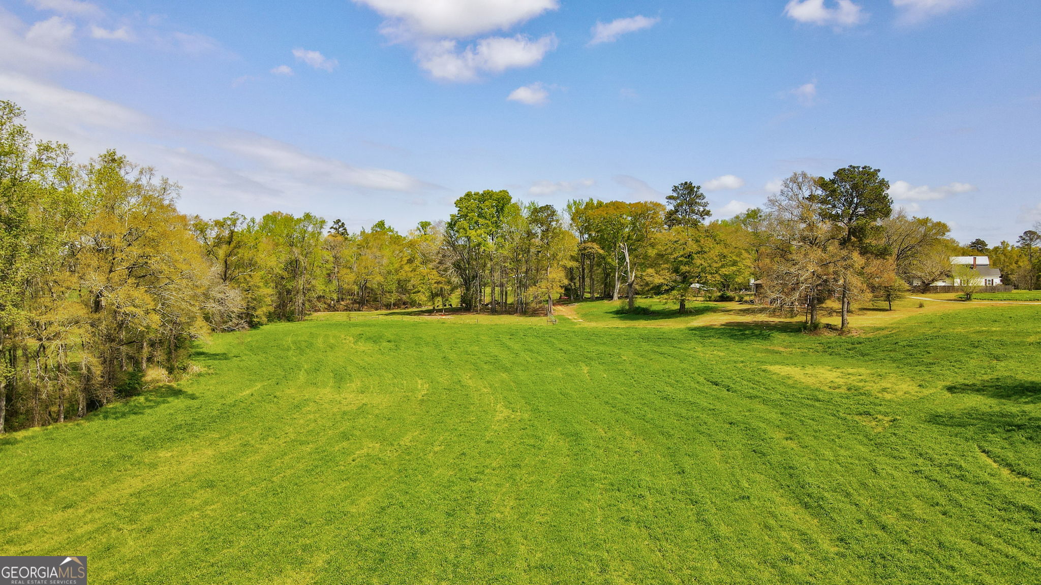 1291 Apalachee River Road Madison, GA 30650 - Photo 17 of 84 a view of yard with green space