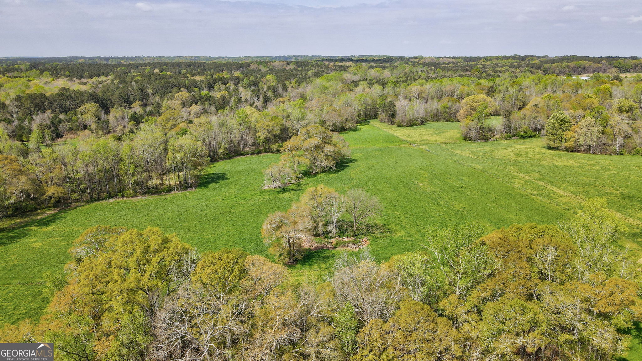 1291 Apalachee River Road Madison, GA 30650 - Photo 19 of 84