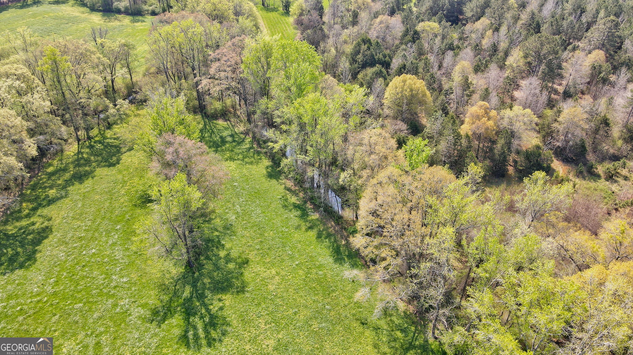 1291 Apalachee River Road Madison, GA 30650 - Photo 23 of 84 a close up of a plant