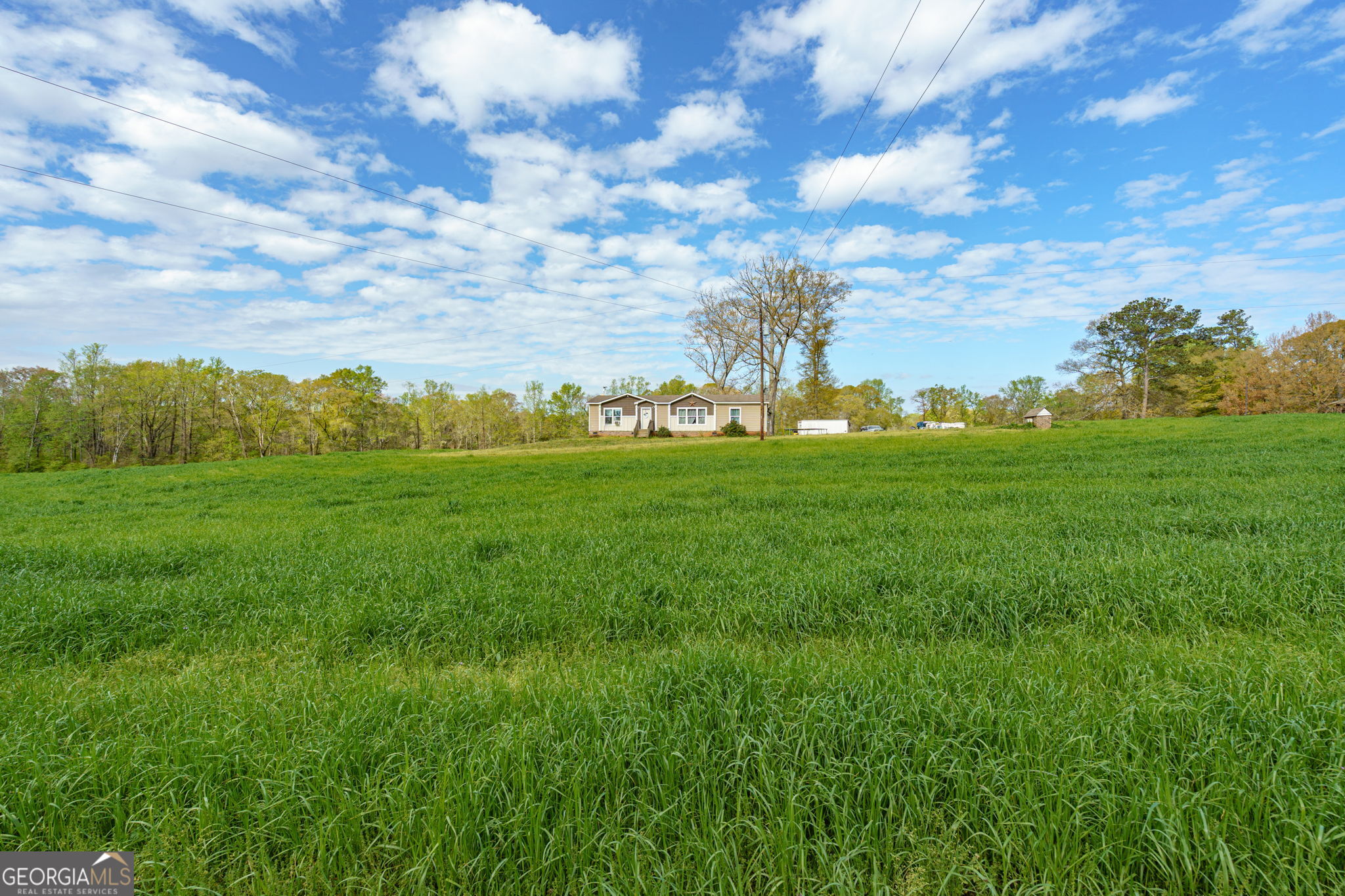 1291 Apalachee River Road Madison, GA 30650 - Photo 40 of 84 a view of a big yard with plants and large trees