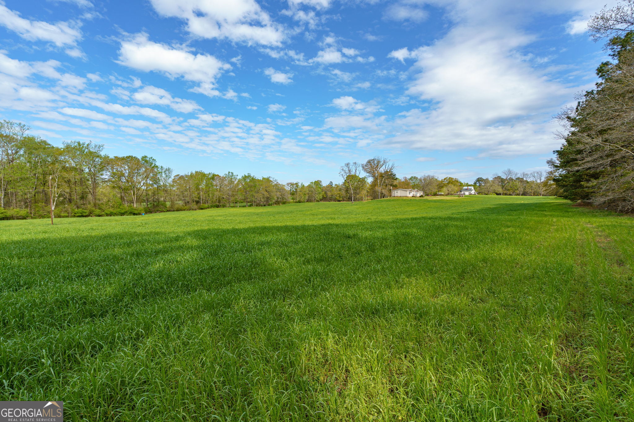 1291 Apalachee River Road Madison, GA 30650 - Photo 41 of 84 a view of a big yard with plants and large trees