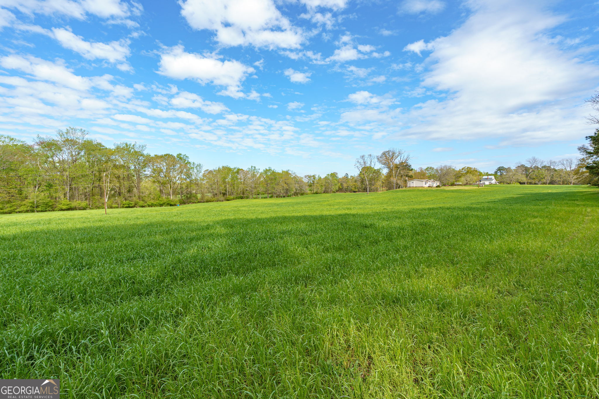 1291 Apalachee River Road Madison, GA 30650 - Photo 42 of 84 a view of a big yard with plants and large trees