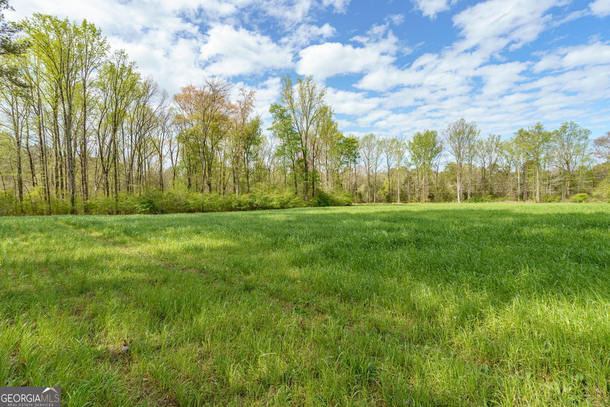 1291 Apalachee River Road Madison, GA 30650 - Photo 43 of 84 a view of a city
