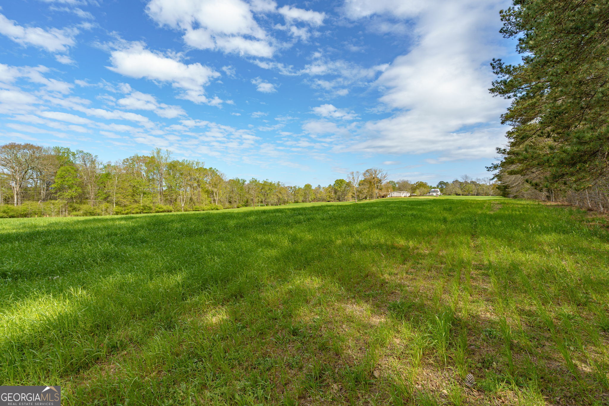 1291 Apalachee River Road Madison, GA 30650 - Photo 44 of 84 a view of grassy field with shrub