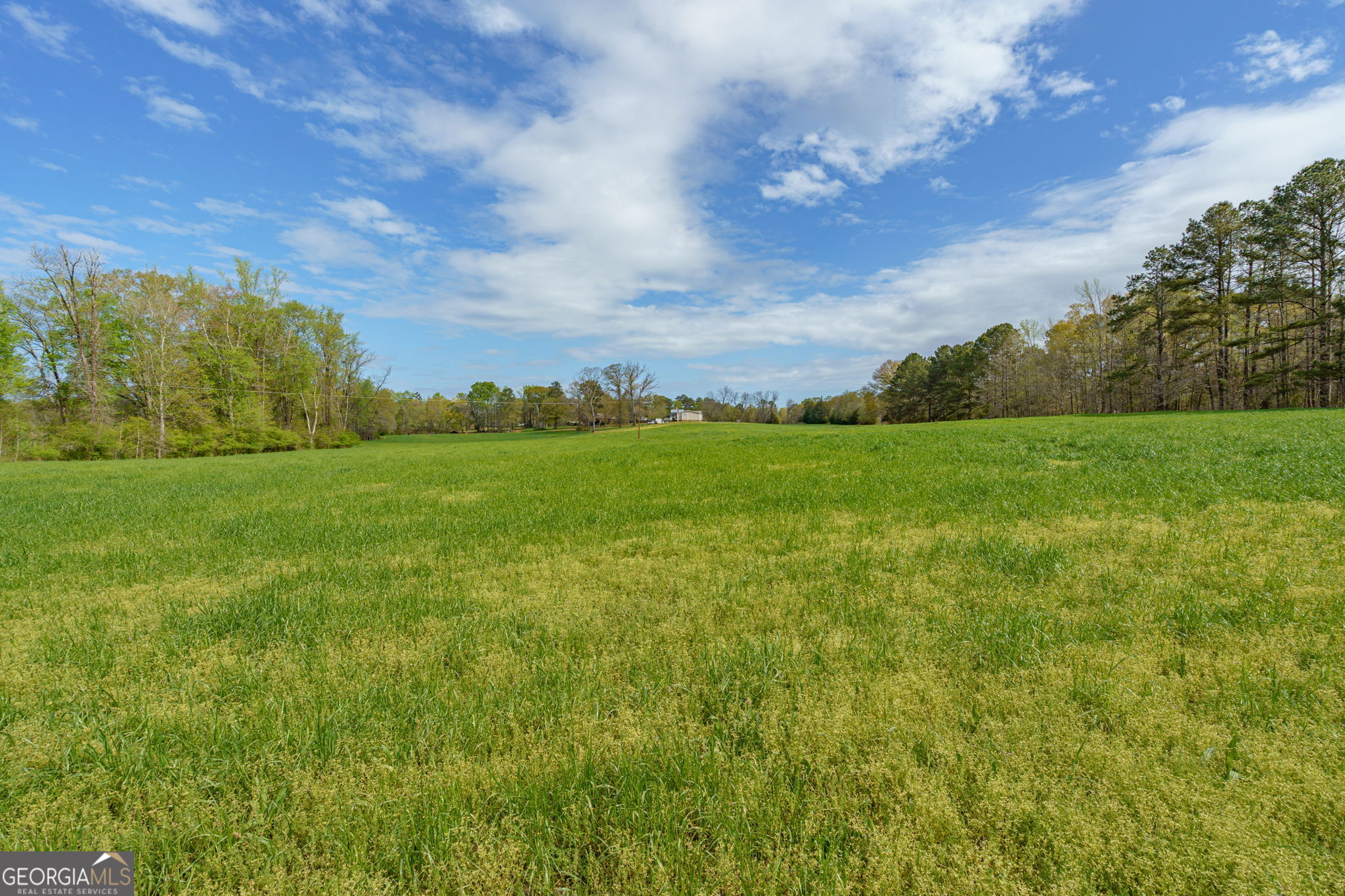1291 Apalachee River Road Madison, GA 30650 - Photo 45 of 84 a view of a big yard with large trees