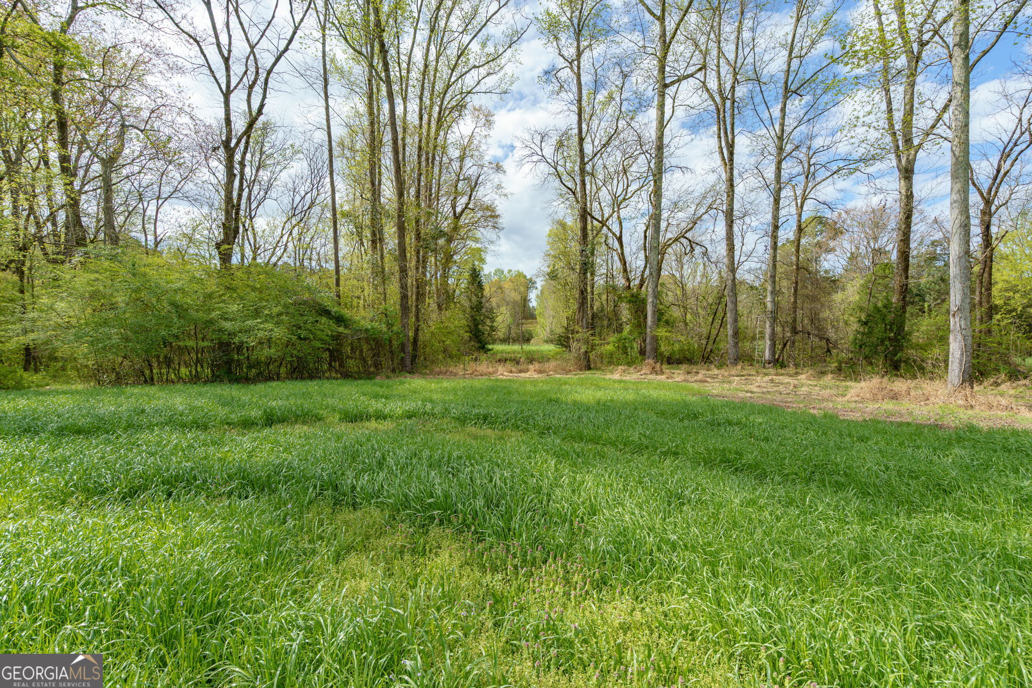 1291 Apalachee River Road Madison, GA 30650 - Photo 46 of 84