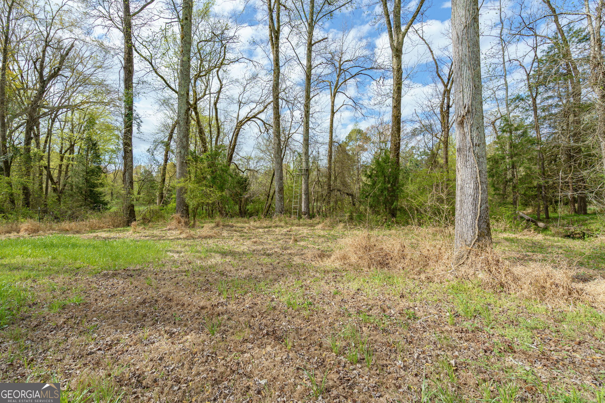 1291 Apalachee River Road Madison, GA 30650 - Photo 47 of 84 a view of outdoor space with trees
