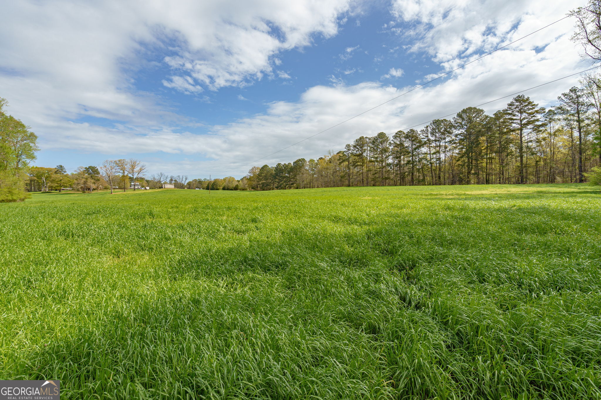 1291 Apalachee River Road Madison, GA 30650 - Photo 48 of 84 a view of an outdoor space and a yard