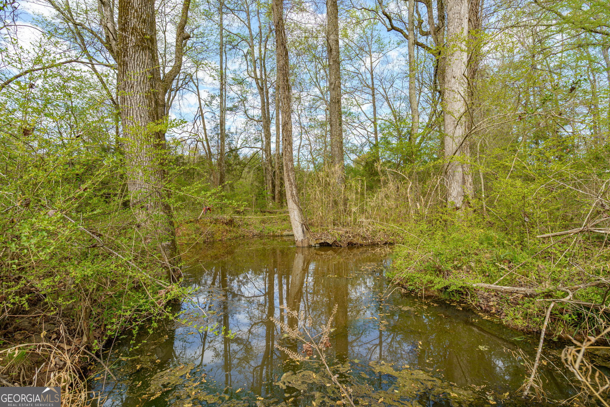 1291 Apalachee River Road Madison, GA 30650 - Photo 52 of 84