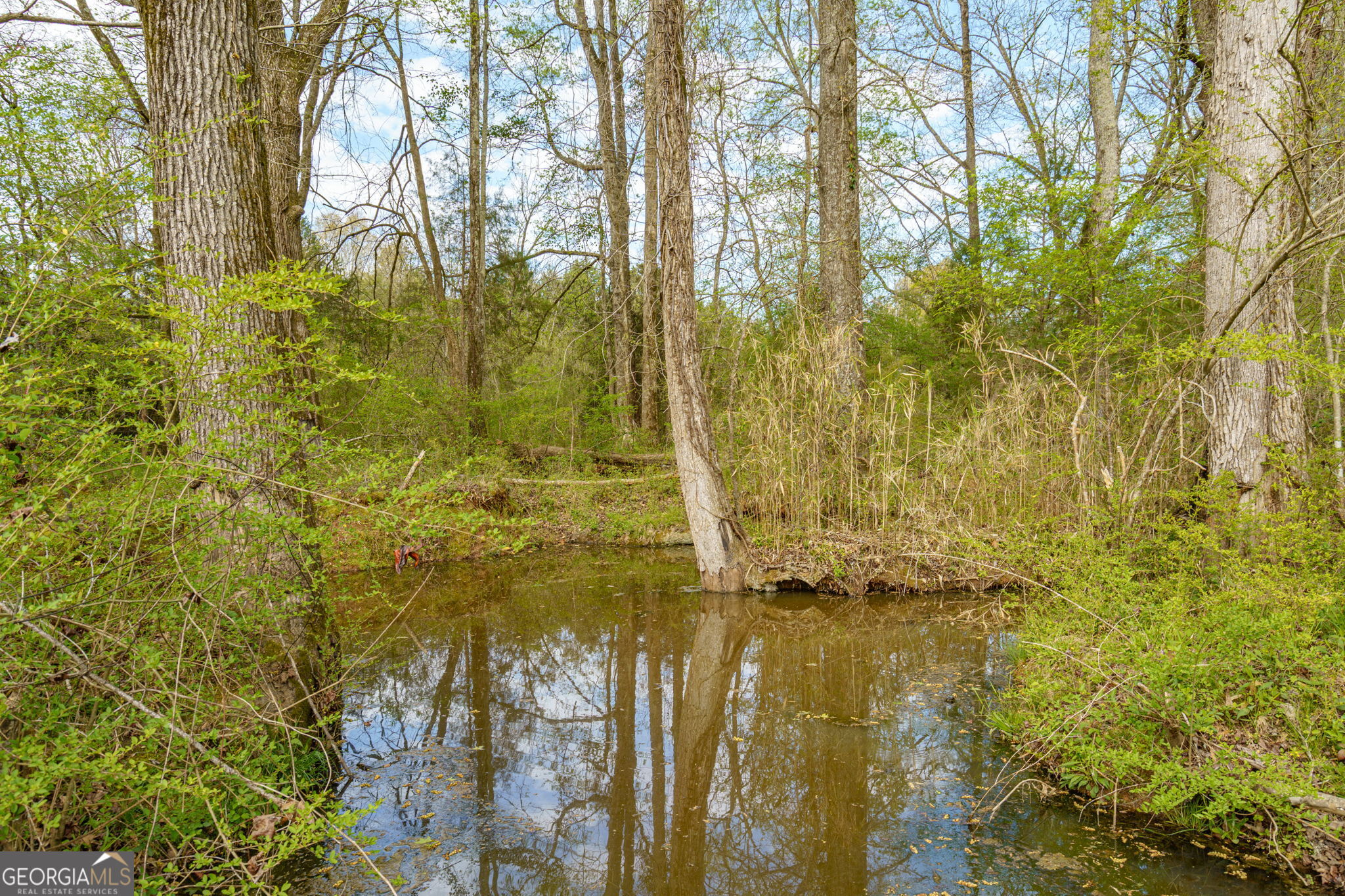1291 Apalachee River Road Madison, GA 30650 - Photo 53 of 84
