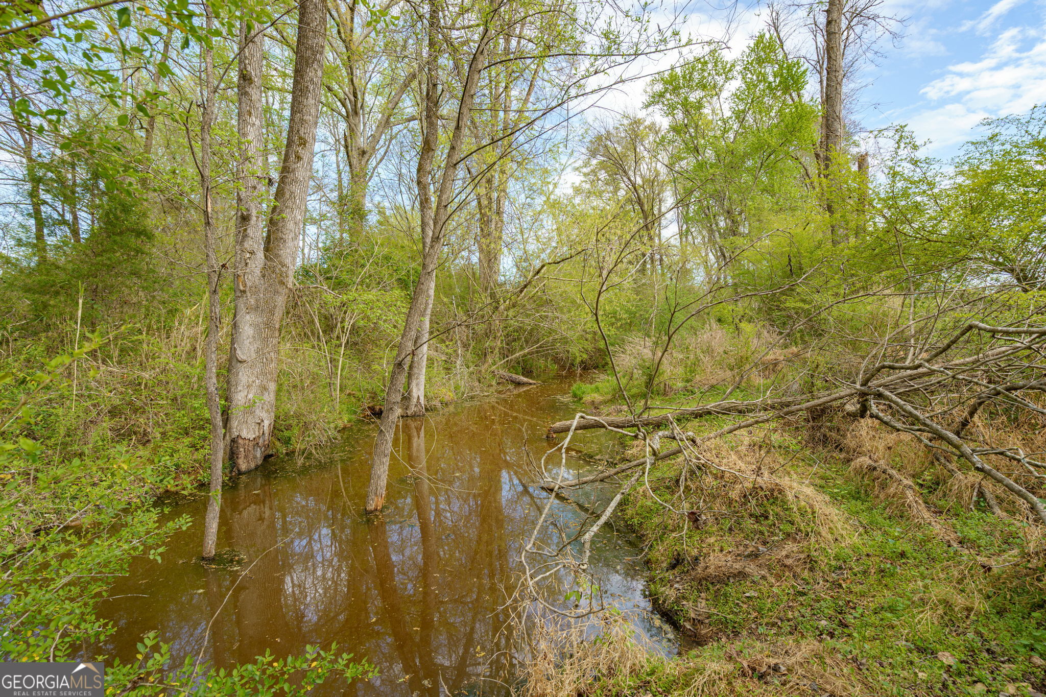 1291 Apalachee River Road Madison, GA 30650 - Photo 54 of 84