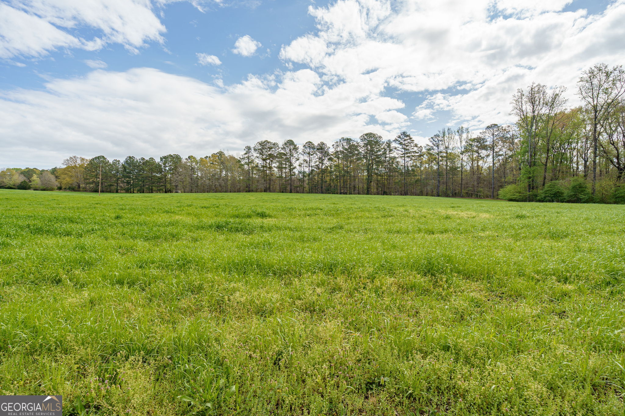 1291 Apalachee River Road Madison, GA 30650 - Photo 55 of 84