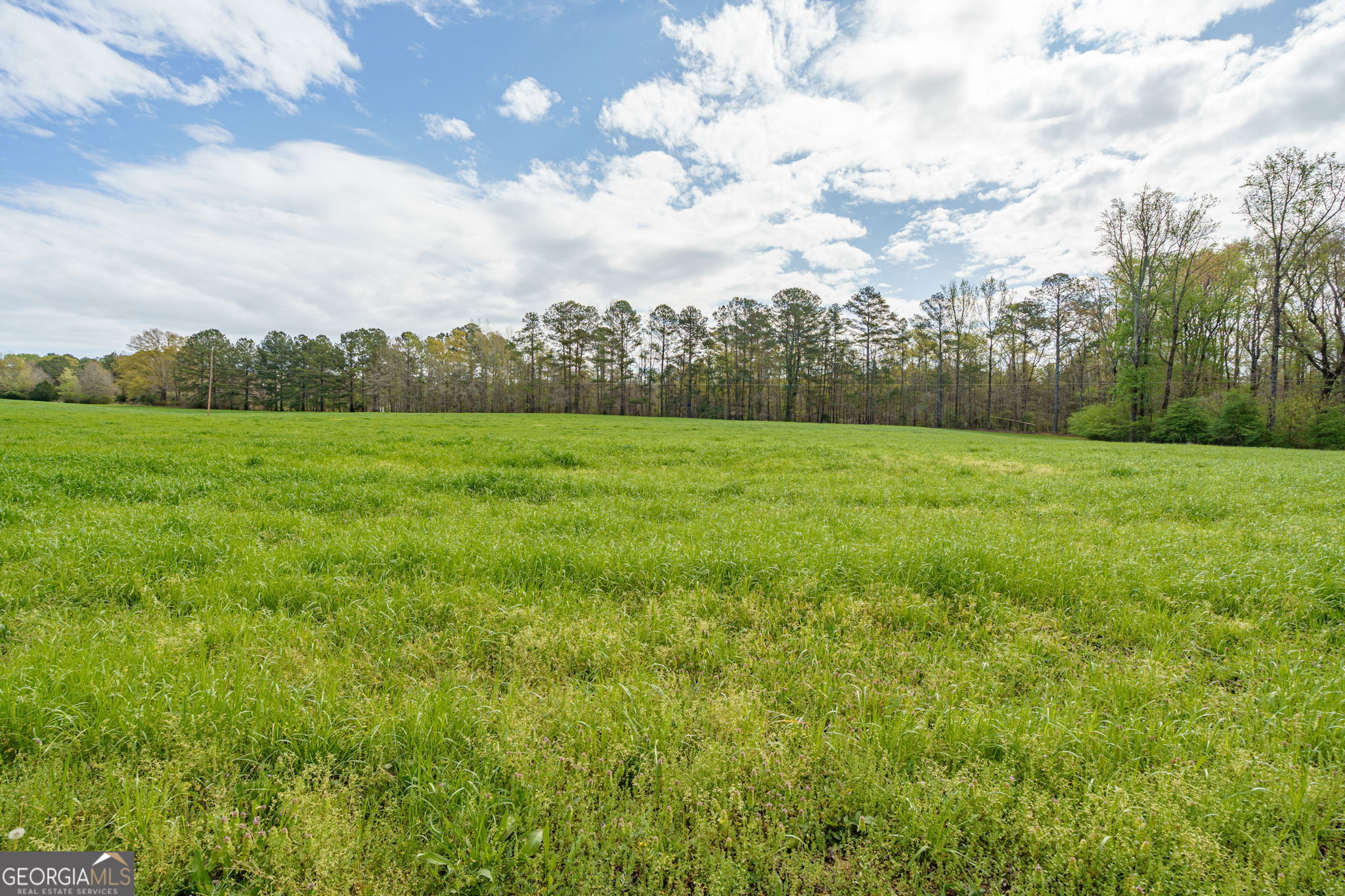 1291 Apalachee River Road Madison, GA 30650 - Photo 56 of 84 a view of an outdoor space and a yard
