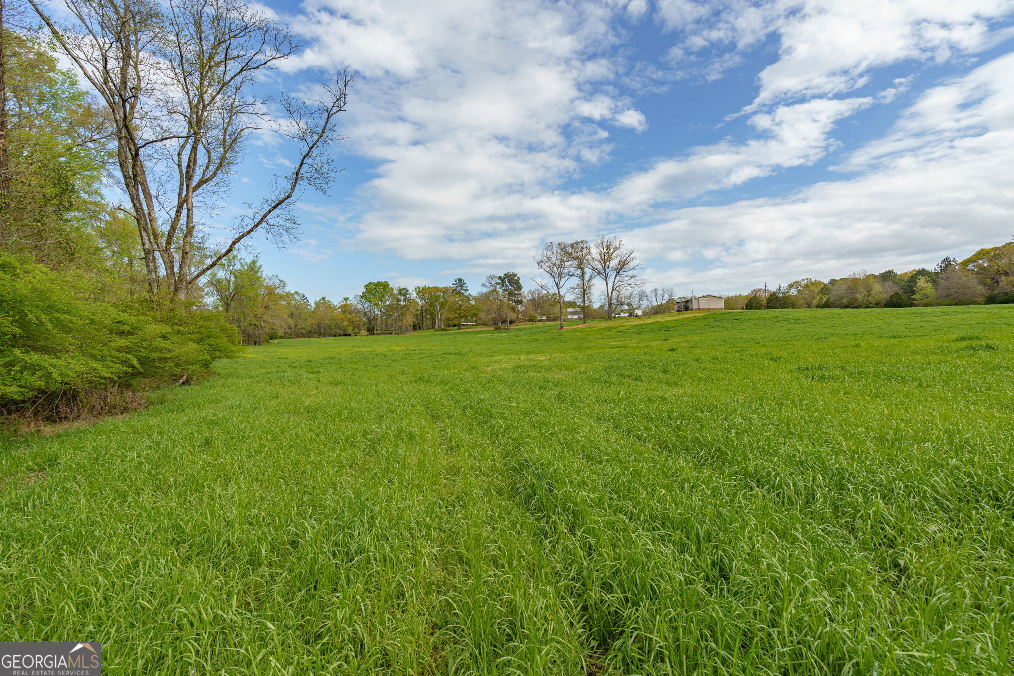 1291 Apalachee River Road Madison, GA 30650 - Photo 59 of 84 a view of a big yard with plants and large trees