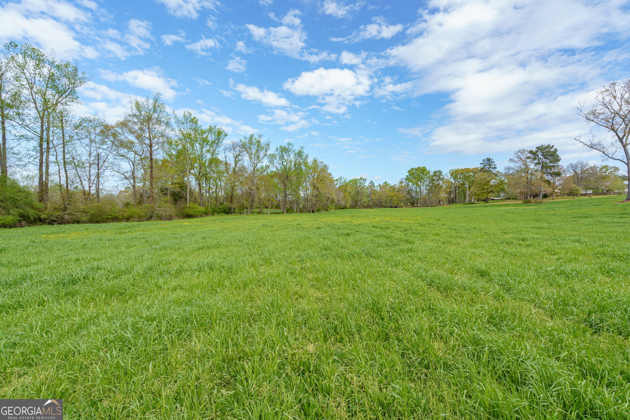 1291 Apalachee River Road Madison, GA 30650 - Photo 62 of 84 a view of a grassy field with trees