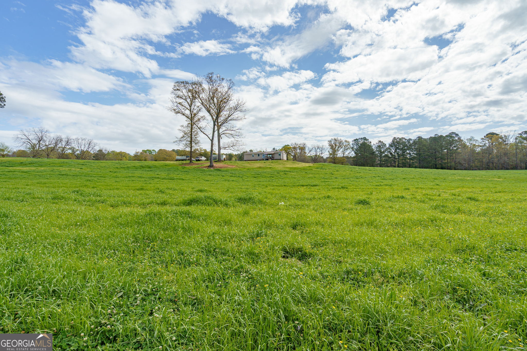 1291 Apalachee River Road Madison, GA 30650 - Photo 63 of 84 a view of grassy field with trees