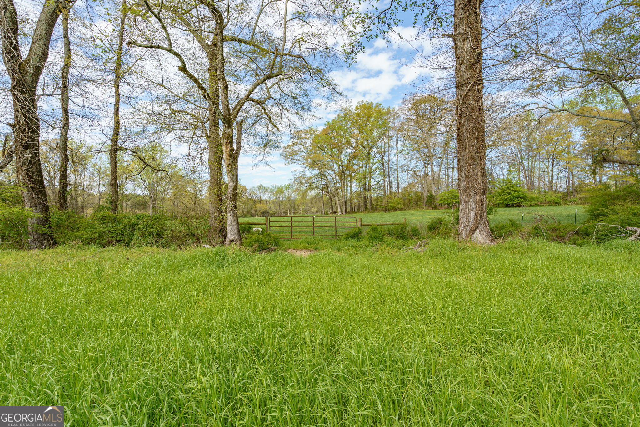 1291 Apalachee River Road Madison, GA 30650 - Photo 64 of 84