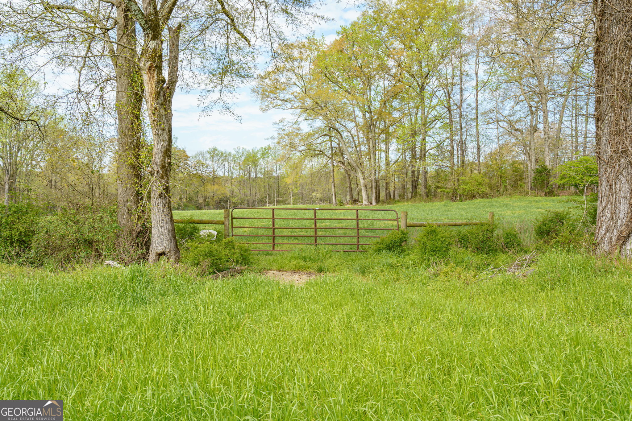 1291 Apalachee River Road Madison, GA 30650 - Photo 65 of 84 a big yard with lots of green space and trees