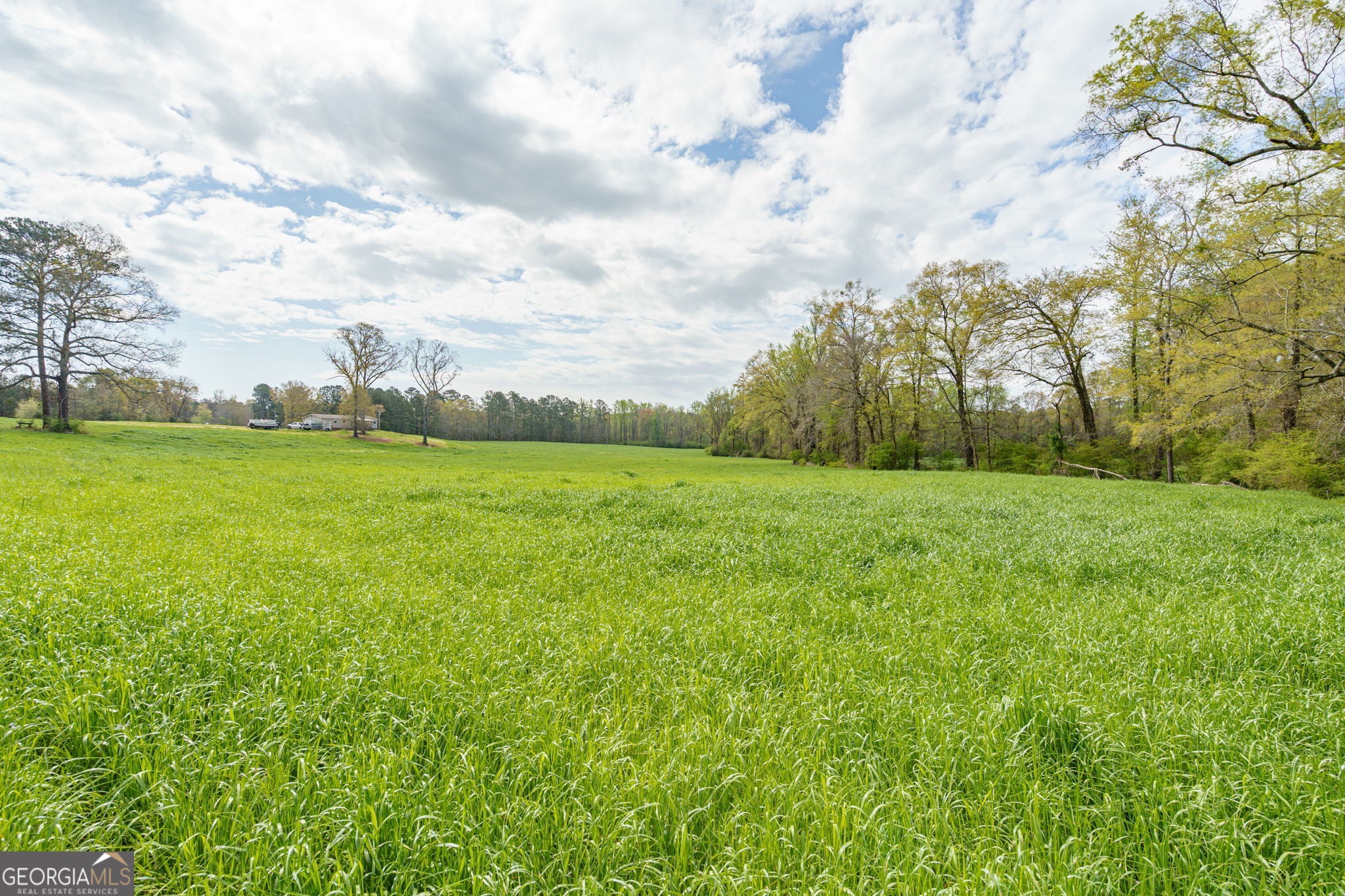 1291 Apalachee River Road Madison, GA 30650 - Photo 68 of 84 a view of a grassy field with trees
