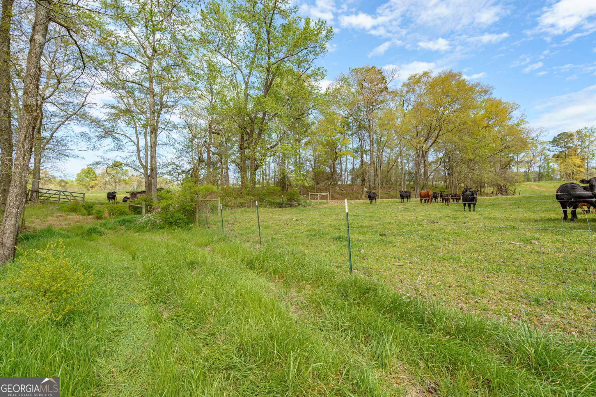1291 Apalachee River Road Madison, GA 30650 - Photo 69 of 84 a view of a park with large trees