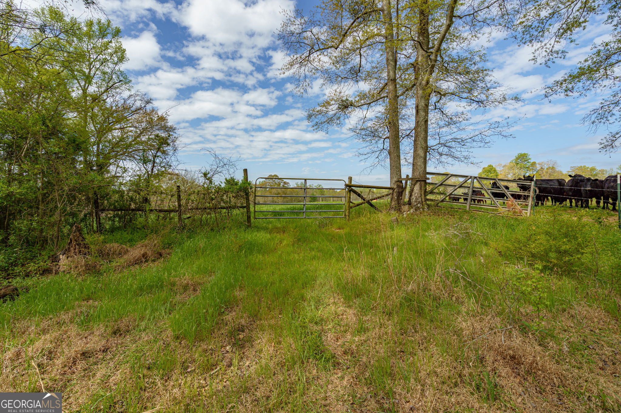 1291 Apalachee River Road Madison, GA 30650 - Photo 70 of 84