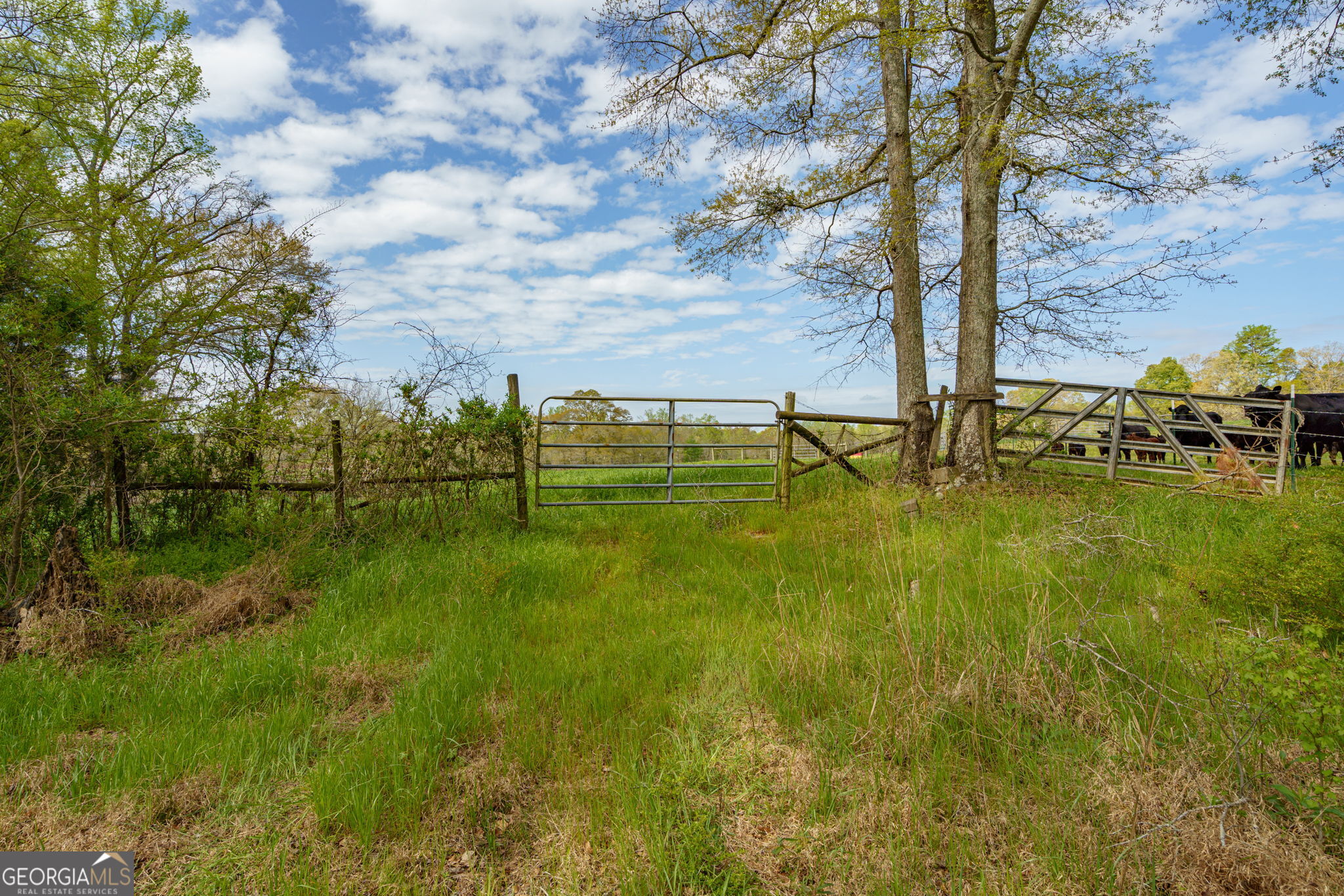 1291 Apalachee River Road Madison, GA 30650 - Photo 71 of 84 a view of yard with swimming pool and green space