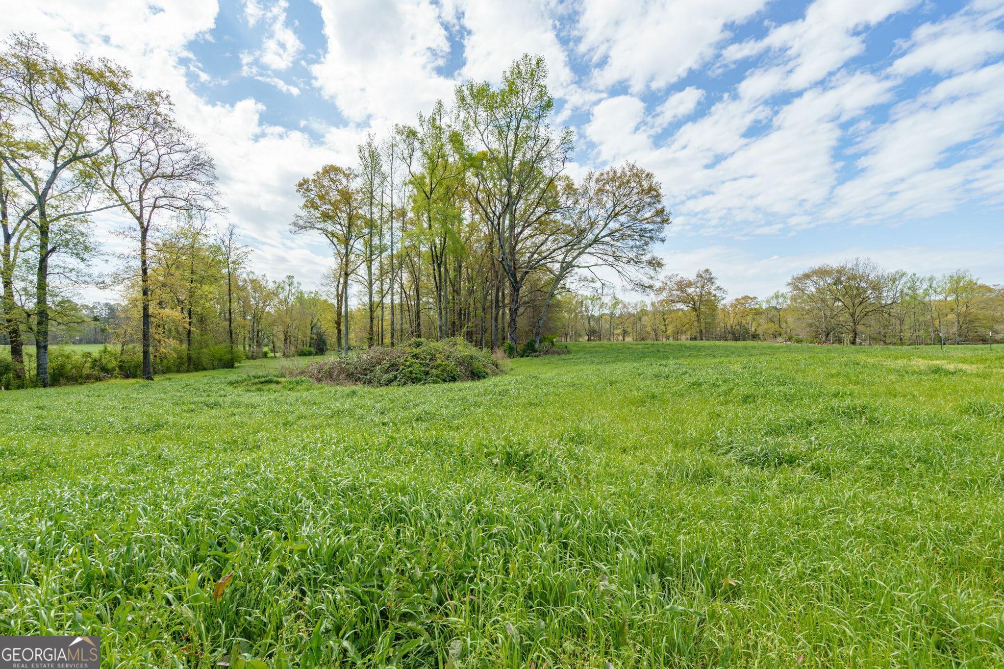 1291 Apalachee River Road Madison, GA 30650 - Photo 72 of 84